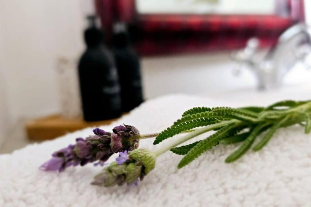 Grey Rabbit Cottage Montagu Ngoại thất bức ảnh