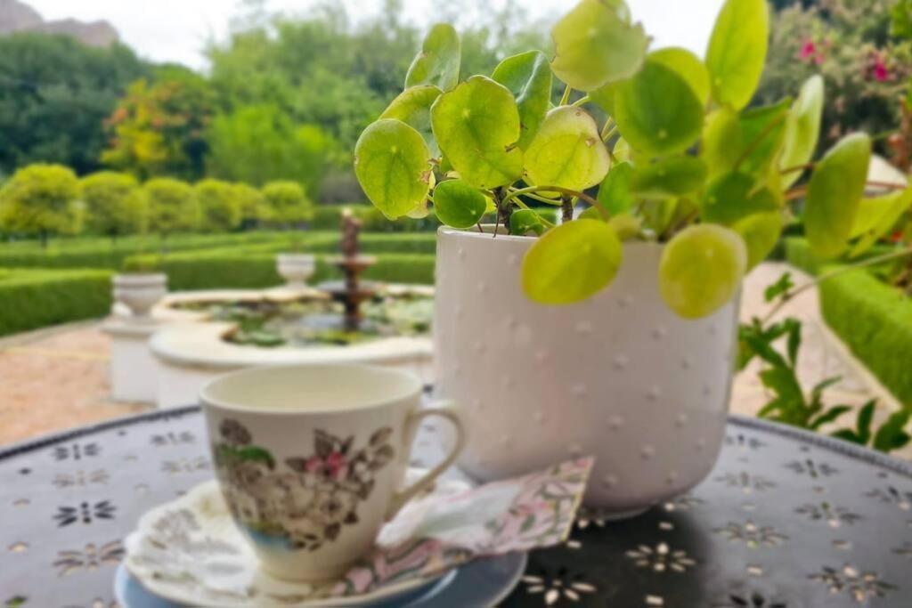 Grey Rabbit Cottage Montagu Ngoại thất bức ảnh